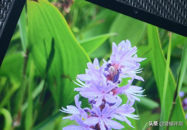 699元的8K解码，双Type-C接口平板电脑：酷比魔方iPlay 9T评测