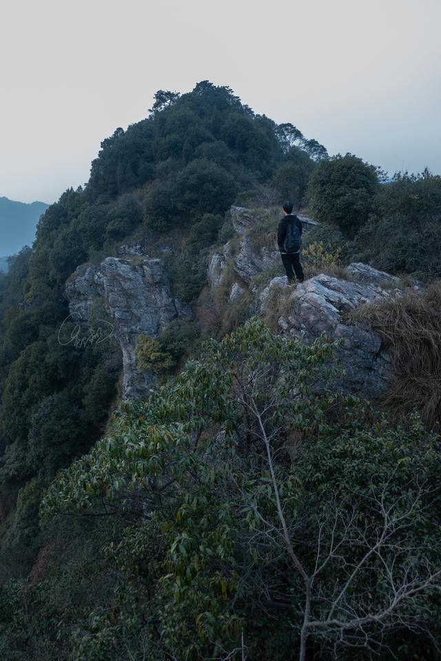 杭州登山徒步路線17：野路有趣，但不建議盲目去爬
