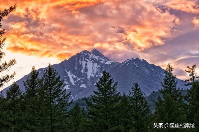 成熟的双子简直可怕,成熟的双子男有多可怕