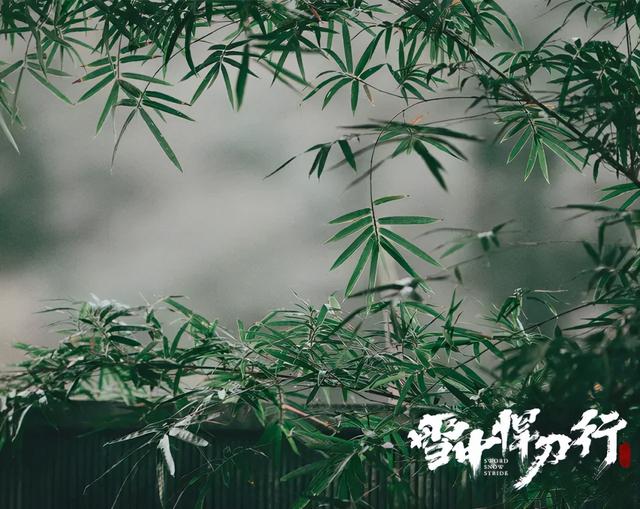 雪中悍刀行剧版实力排行榜（这剧厉害了雪中悍刀行）(19)
