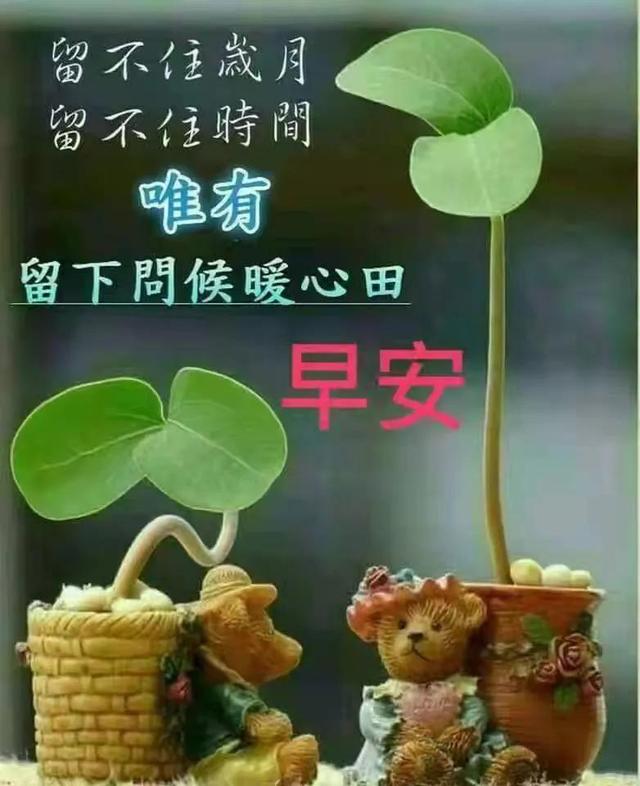 4月28日好友的问候与我的回复（2022年）