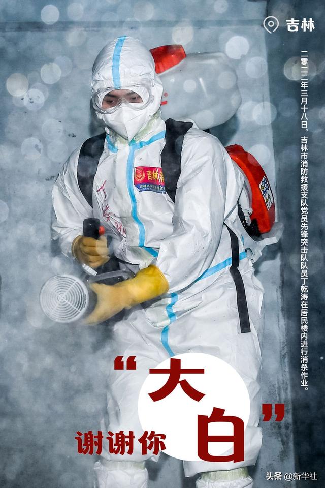 谢谢你，“大白”