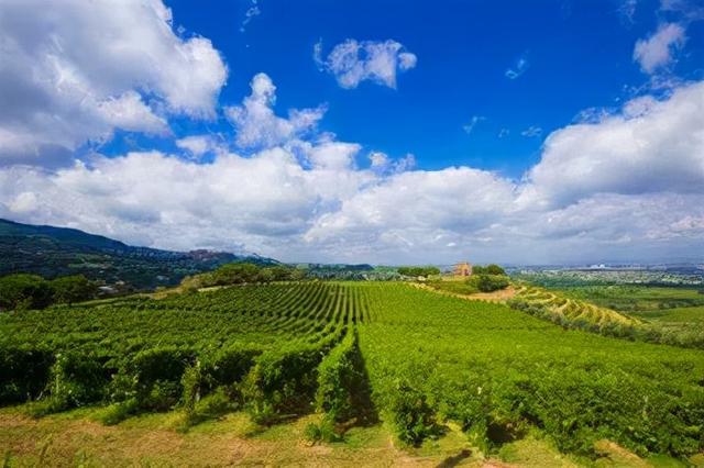 意大利维罗工程机械展