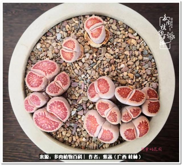 大型制砂机给力富贵机械