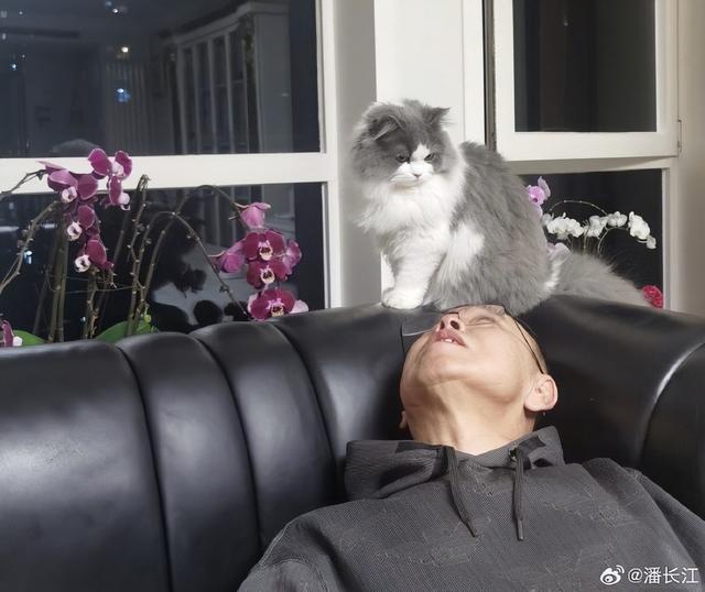 66岁潘长江老来悠闲，捧万元手机躺沙发招猫逗狗，满脸皱纹显老态