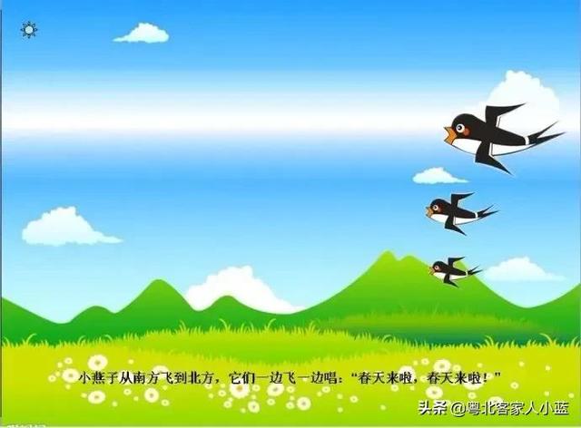 你知道现在为什么越来越少见得到燕子呢？原因会让你意想不到