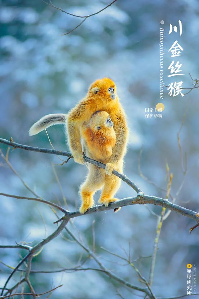 五指山破碎制砂机厂家