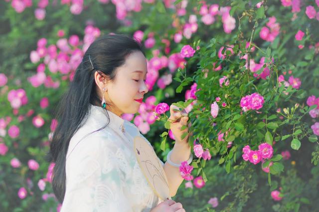 最美四月蔷薇花