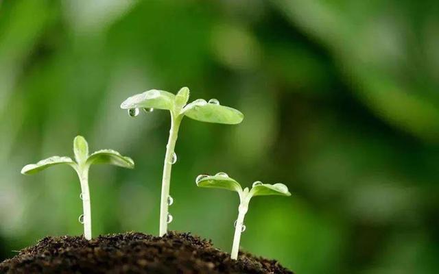 癌癥春天病情容易加重？中醫告訴你答案，這幾類患者要多留心
