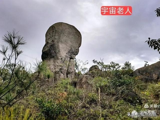 大羅山有處二師兄奇石，惟妙惟肖，你可找到過？