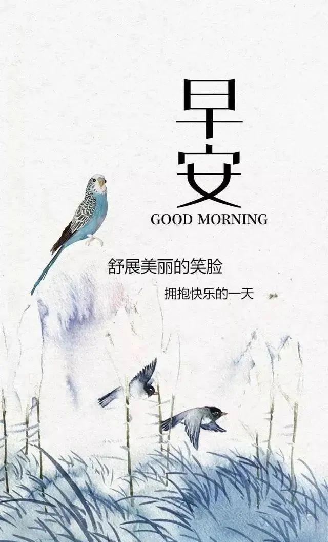 早安正能量唯美短句心语（2022.10.18早安心语正能量精致语录）(17)