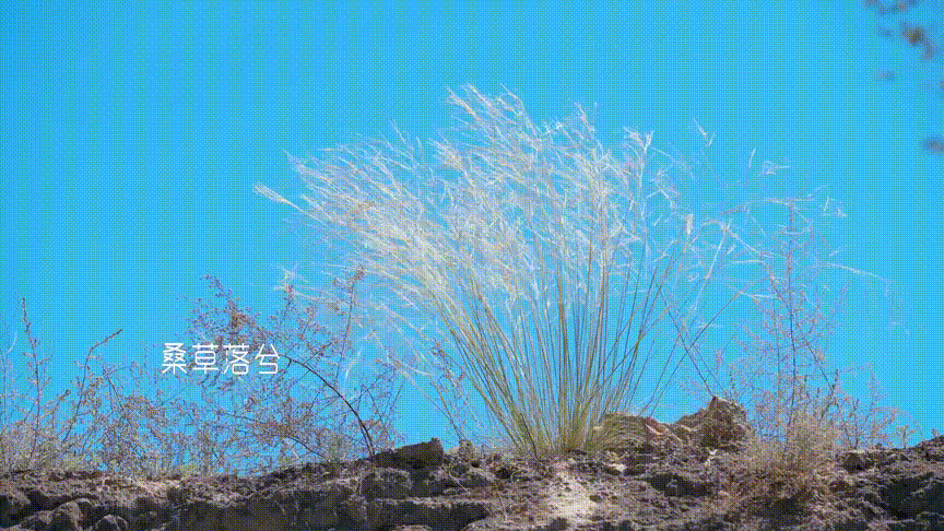 超美!又一神仙綜藝開播，跟著《早餐中國》團隊解鎖9個詩意旅行地