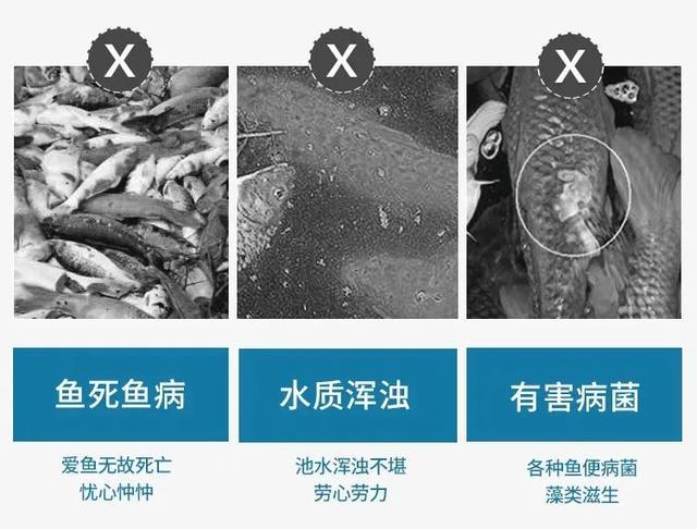 固液过滤机的价格