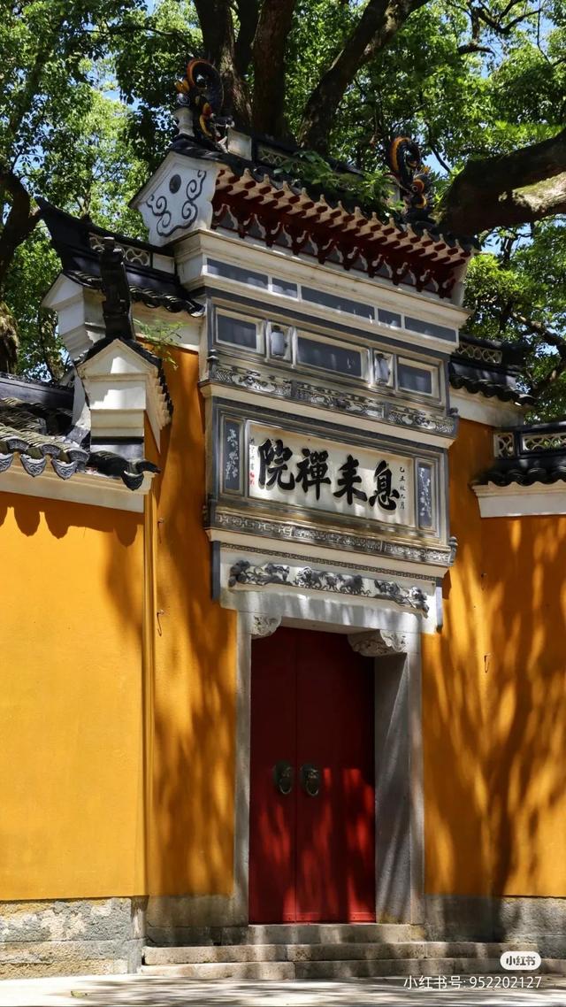 去普陀山要准备6味还是五味（跟着小红书解锁）(10)