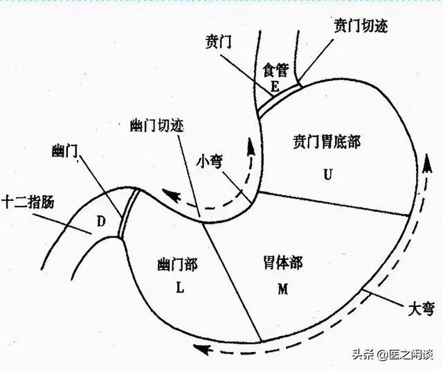 不吃早饭伤胃？饥饱不均也是一种锻炼