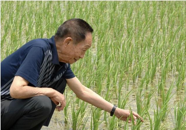 美国史上两次使用生化武器，志愿军伤亡惨重，更是越南至今的噩梦