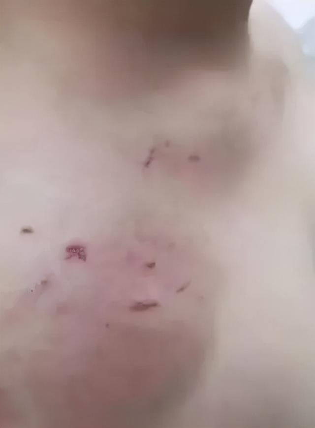 叛逆孩子学校报名热线(孩子孩子叛逆学校.志和教育报名电话多少哪)(图3)