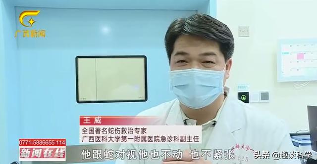 扔石头惹怒眼镜王蛇！七旬老伯被追咬，两招捡回一命，医生：万幸
