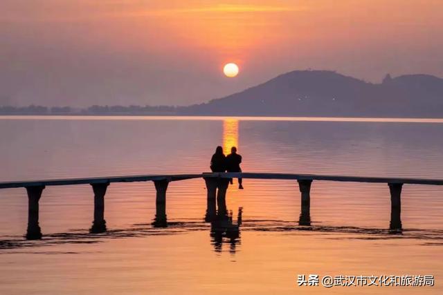 你好，珞珈山的夏天……