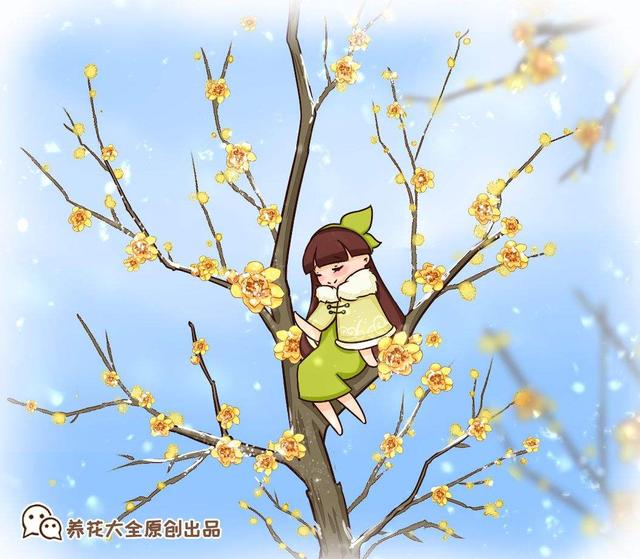 腊梅花 腊梅花（腊梅花的花语和寓意） 生活