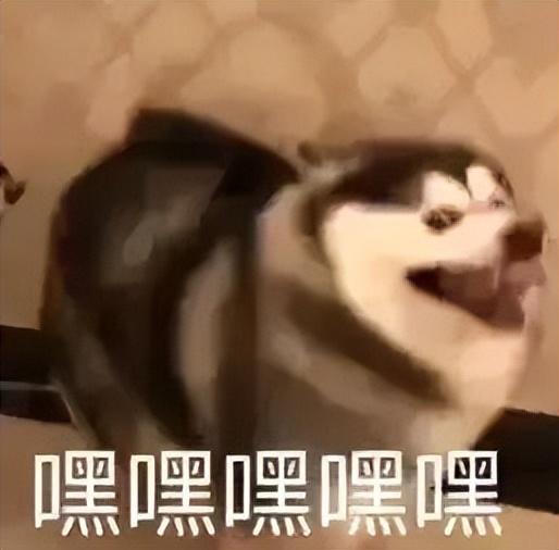 "尔豪"变硬汉,老婆是母亲学生演过《知否》!最红时甘愿为妻子隐退