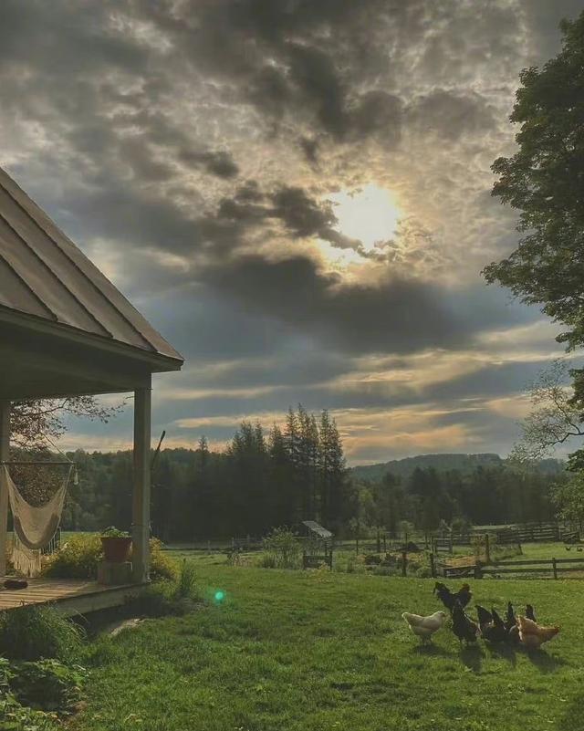 [万福云关键词自动回复]，微信打字出现的小动物有哪些