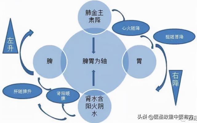 体内痰多如何化散？张仲景告诉你，治痰先找源，化痰先散寒