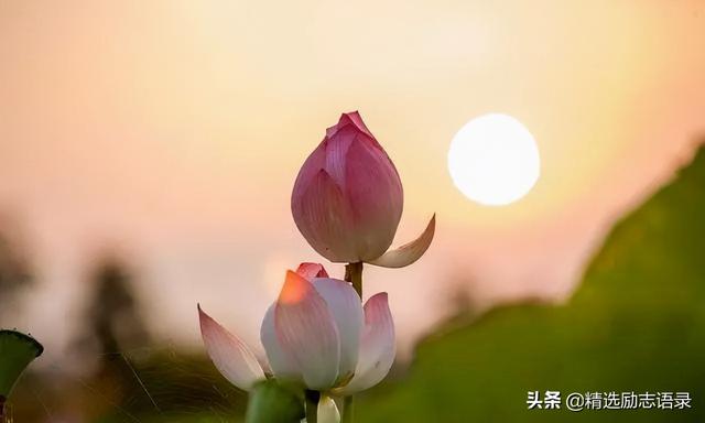 在变老的路上，照顾好自己