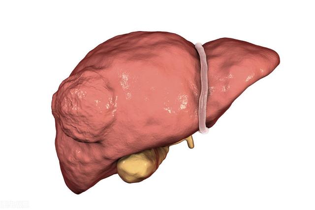 ca724he和细胞角化蛋白片段