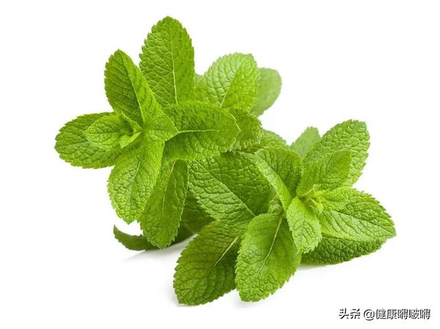 春分过后，吃好三菜，喝好三茶，防好三病，牢记三事，助力健康