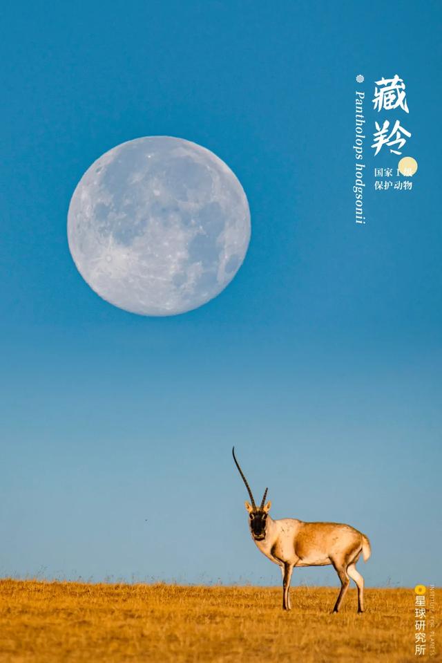 福建风化岩螺旋洗砂机多少钱