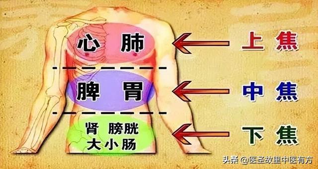 畏寒肢冷全身痛？名方附子汤，驱云散雾升朝阳，祛湿散寒止百痛