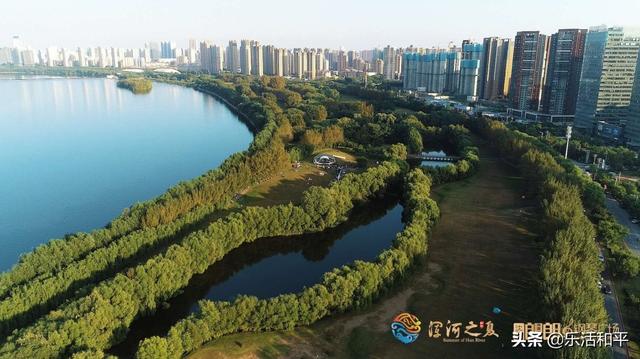 2021年沈阳演唱会排期表(2021年演唱会排期表周杰伦)