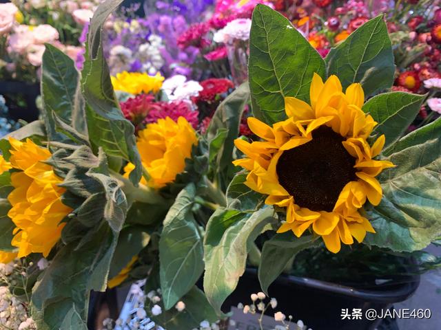 疫情赶紧结束?吧