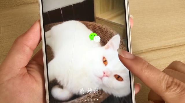 [安卓新达人转账金额修改]，没有手机号怎么加微信