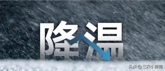 天气预报：今日21号，新一轮雨雪已确认，倒春寒成定局？农谚咋说