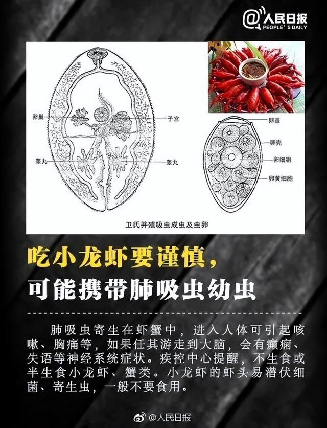 千万别碰！福寿螺体内寄生虫多达6000条
