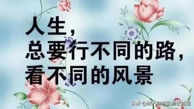 感悟人生的经典句子