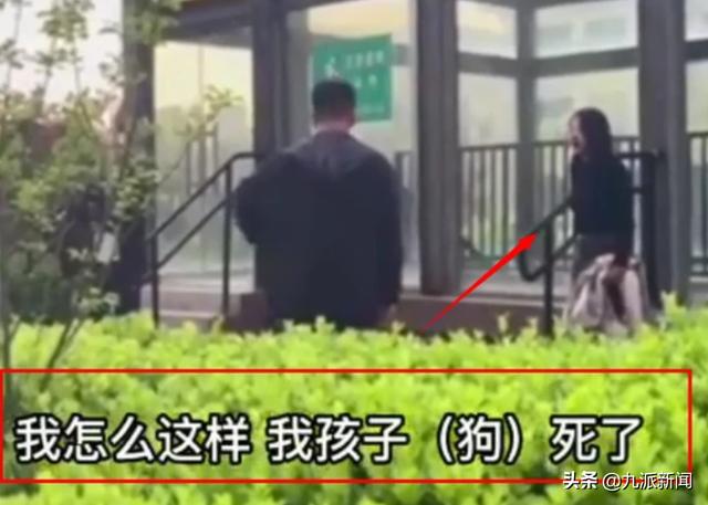 狗吓哭1岁儿童后遭家长摔死，狗主人：现在还要被骂，我真的受不了，不敢再遛另一条狗