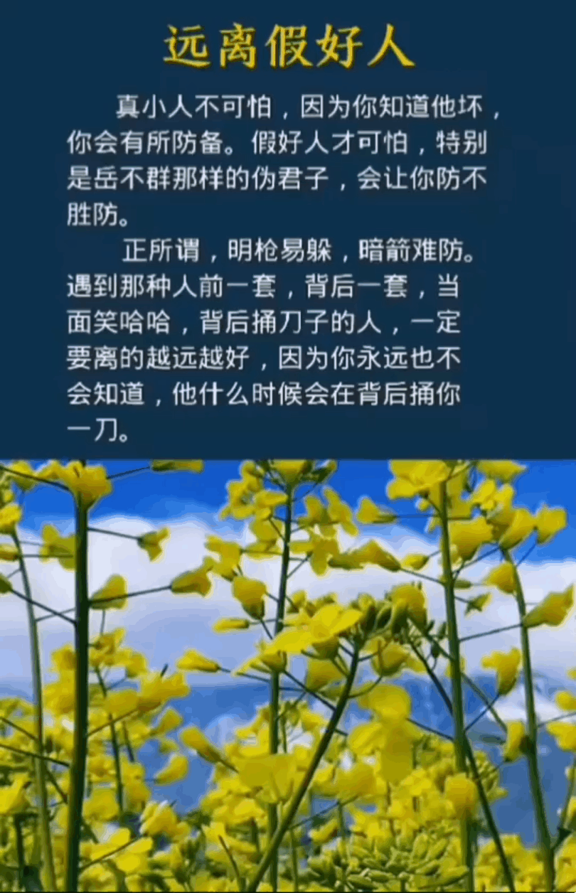 藏头诗——远离假好人