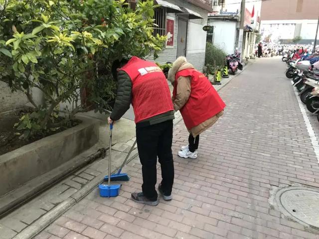 惊险！3米眼镜蛇因太胖，被卡在私家车引擎盖下，撒雄黄有用吗？
