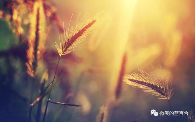 夏，如约而至；安，顺时而归