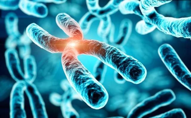 人类为何不能实现“永生”？科学家：人类只是在给基因打工罢了