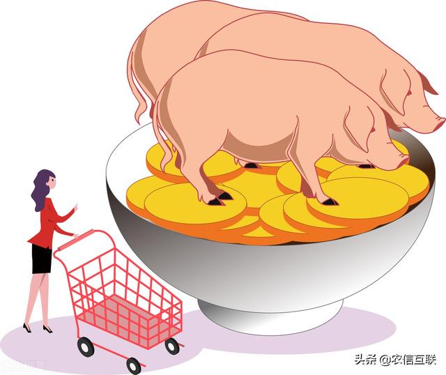 今日猪价行情｜猪价破7冲8，盈利时代提前来了！出栏还是压栏？