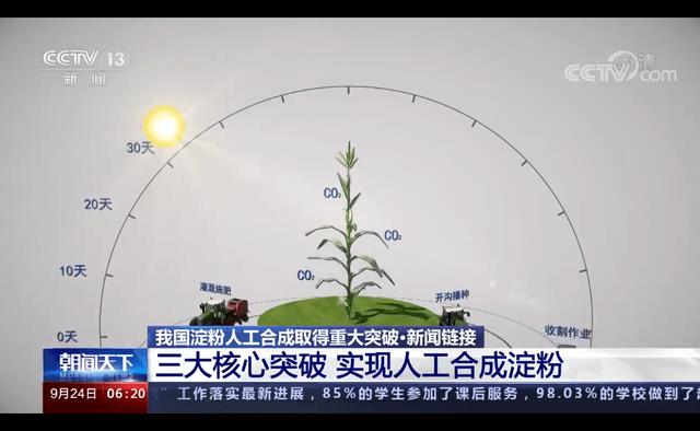 我国又出史诗级科研成果，二氧化碳变葡萄糖和油脂，这事靠谱吗？