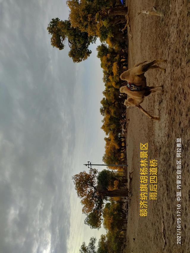 西行漫記之10月5日內蒙古篇