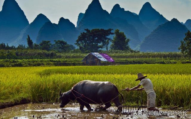 如果把地球的一生浓缩成一天，会发生什么？超出你想象的地球故事