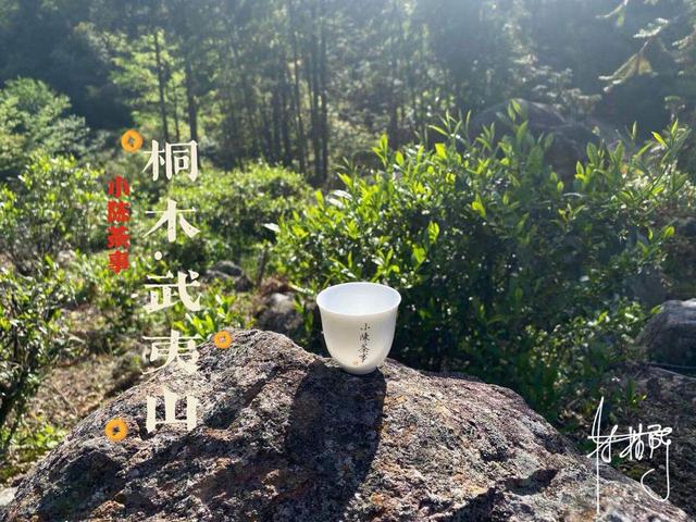 红茶可以放多久