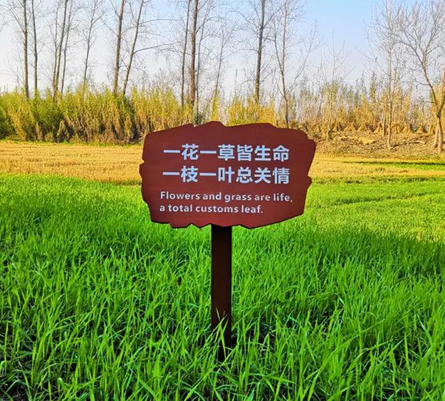 爱护花草树木的警示牌，植树节植物标牌？