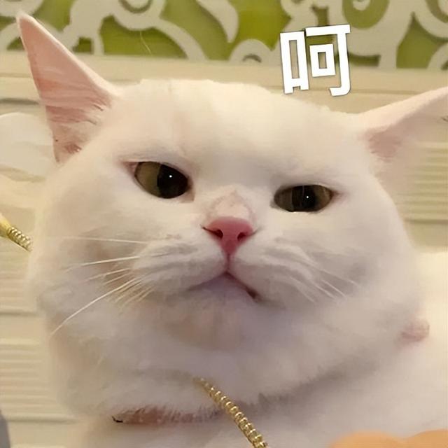 微信视频不显示自己图像-微信视频自己的画面不显示